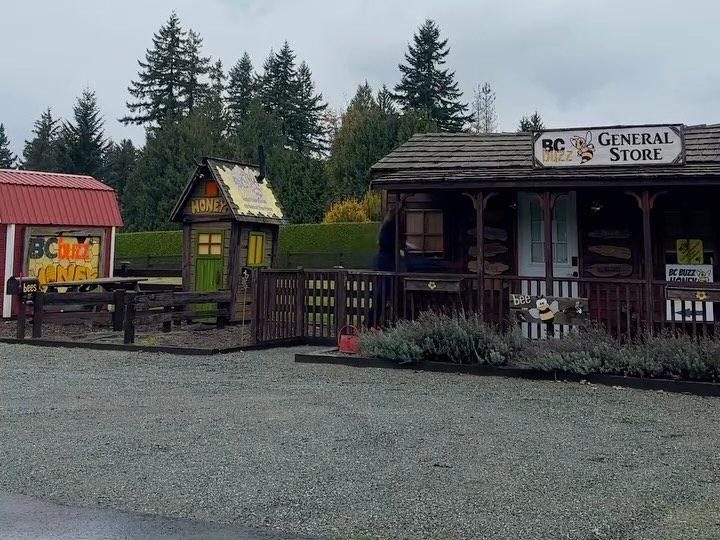 BC Buzz Honey's General Store on 248 Street: a wooden cabin shop with a porch, beside a small Honey Hut shed and a red barn painted with the BC Buzz name