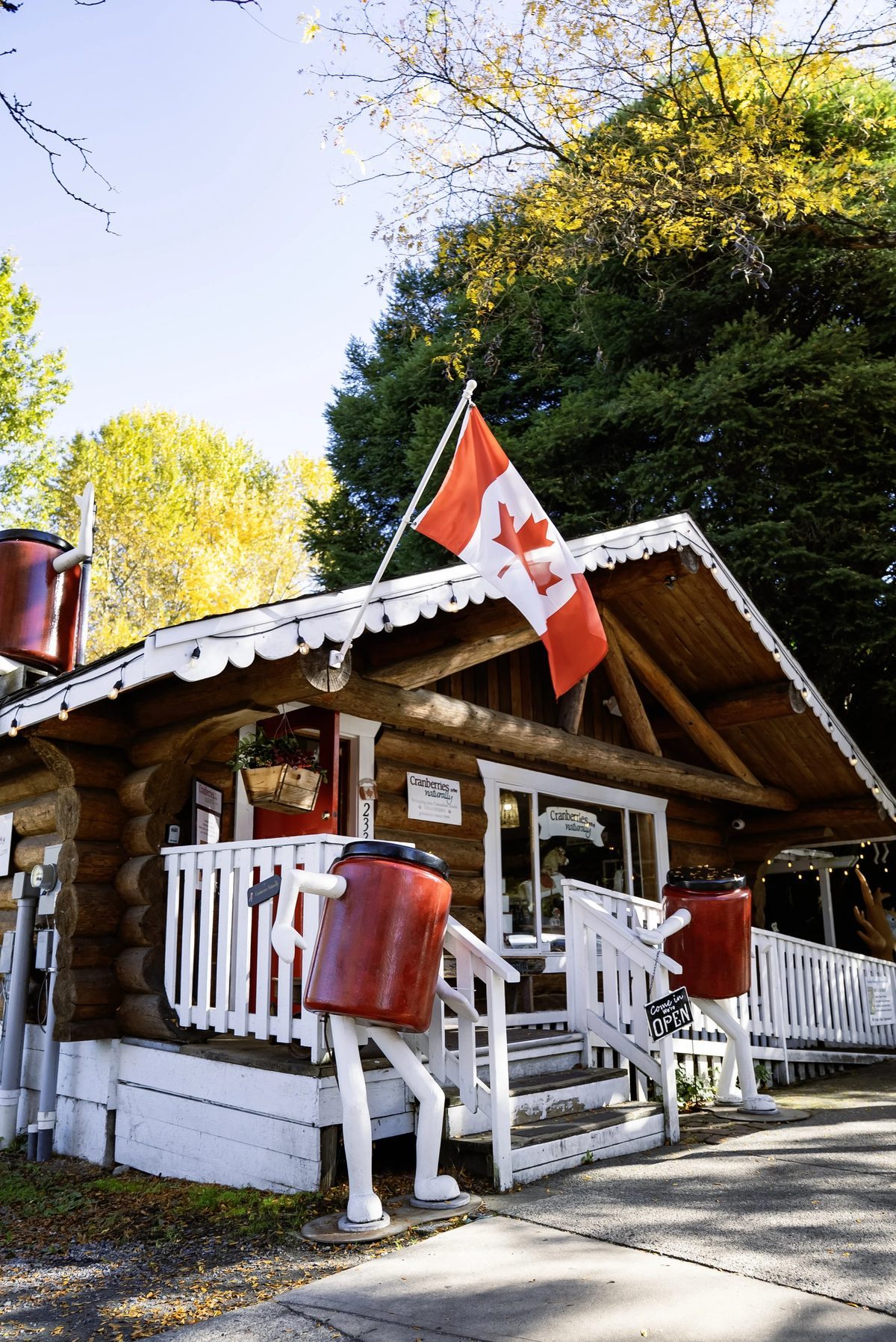 The little log-cabin storefront of Cranberries Naturally on Mavis Avenue in Fort Langley, with a Canadian flag, white railings and a big red cranberry sign