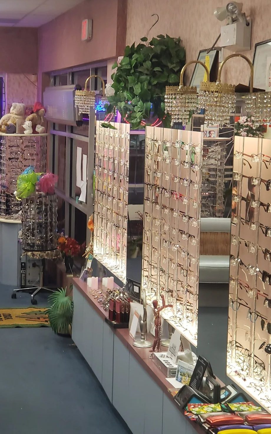 Lit wall panels of eyeglass frames above a counter of colourful glasses cases inside Debbie Mozelle Designer Optical, with a hanging plant and a display tower of frames to the left