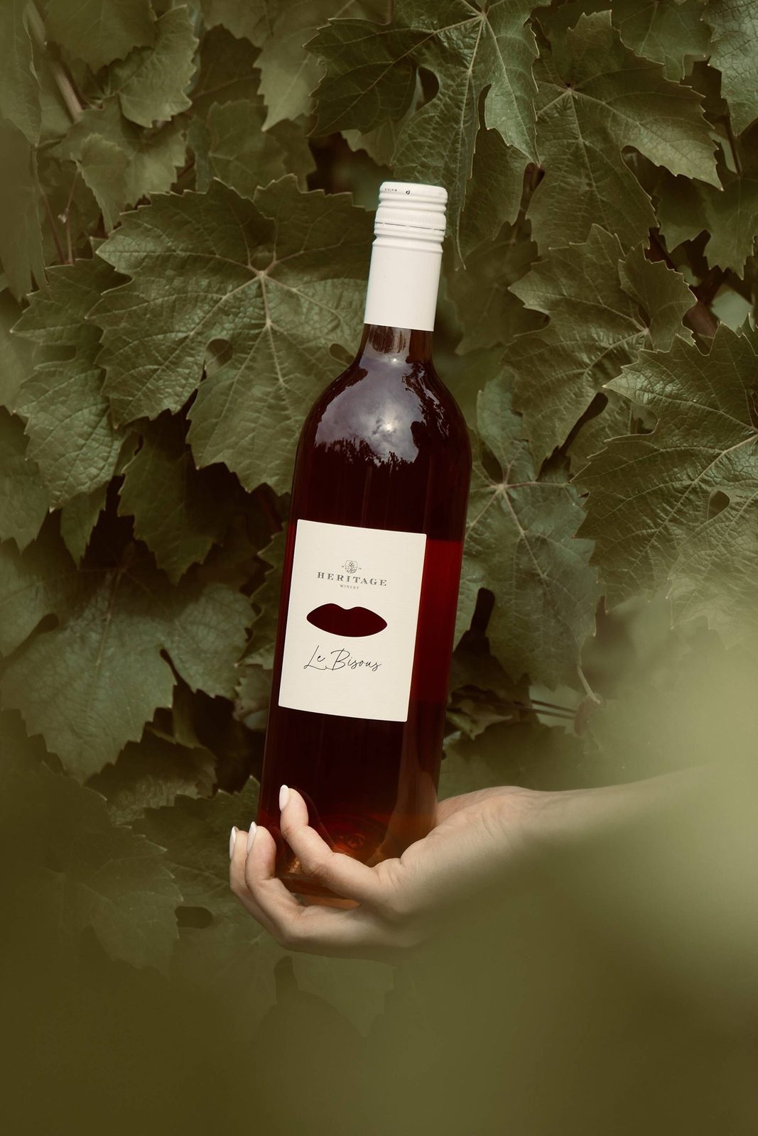 A bottle of Le Bisous rosé with a white label reading Heritage Winery, held up against a wall of grape leaves
