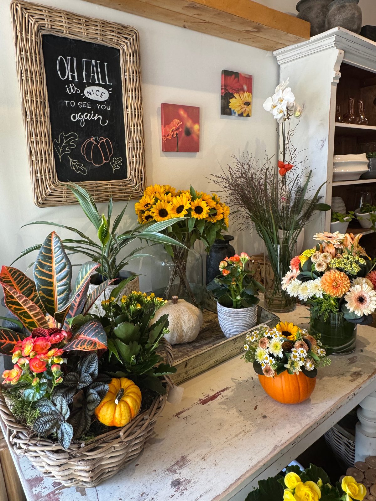 Autumn flowers and plants on a worn white table in the Flowers & Company shop: a basket of crotons and begonias with a mini pumpkin, sunflowers in glass, an orange pumpkin filled with daisies, and a chalkboard sign reading Oh fall, it's nice to see you again