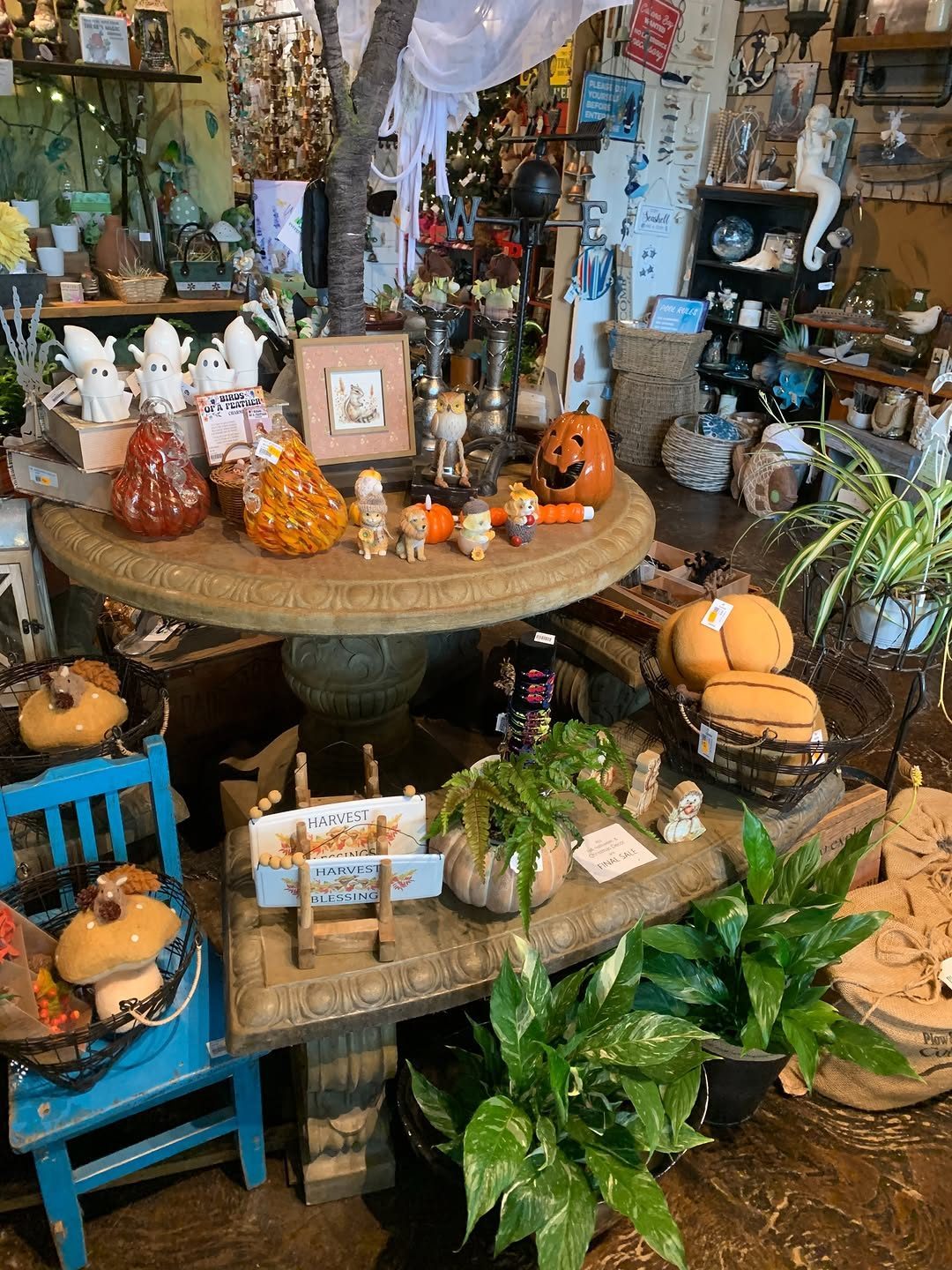 Inside The Gardening Circle: a round stone table covered in autumn pumpkins, gnomes and garden figures, surrounded by shelves of planters and decor