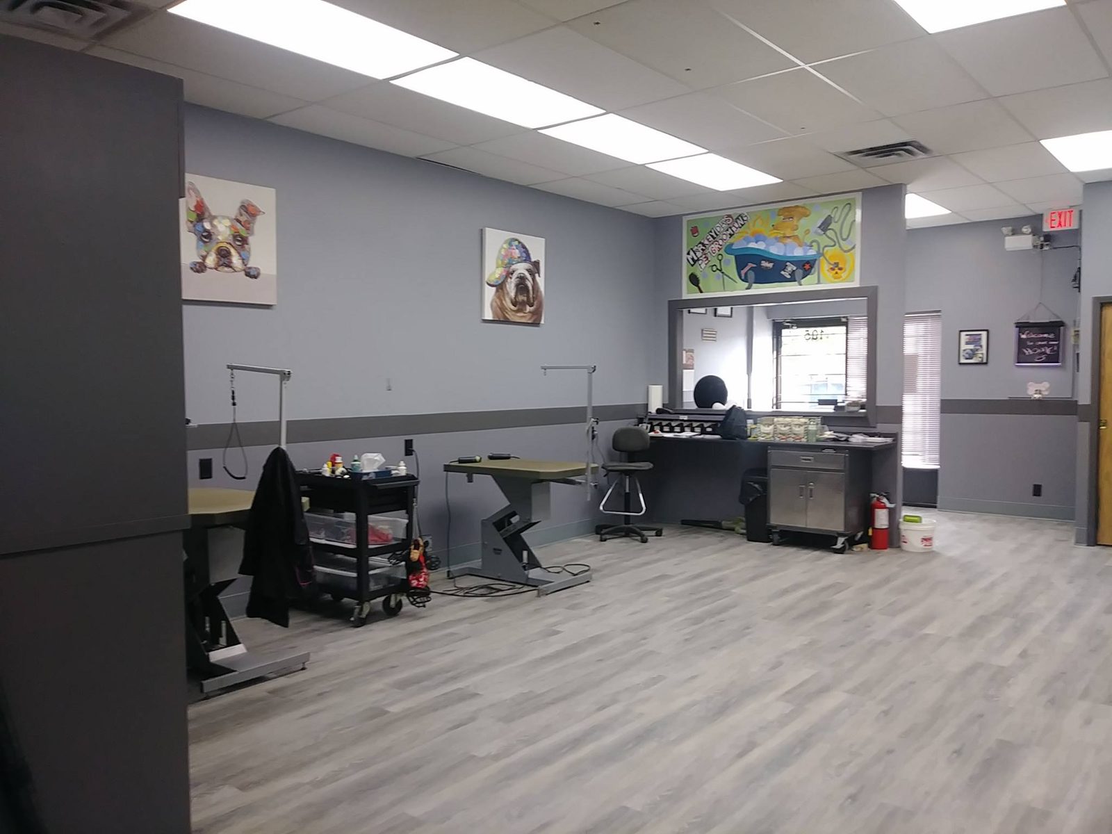 Inside Markeyda's Pet Grooming: two grooming tables and a supply cart on a wood-look floor, grey walls with dog portraits, and a reception window under a painted mural of a dog in a bathtub