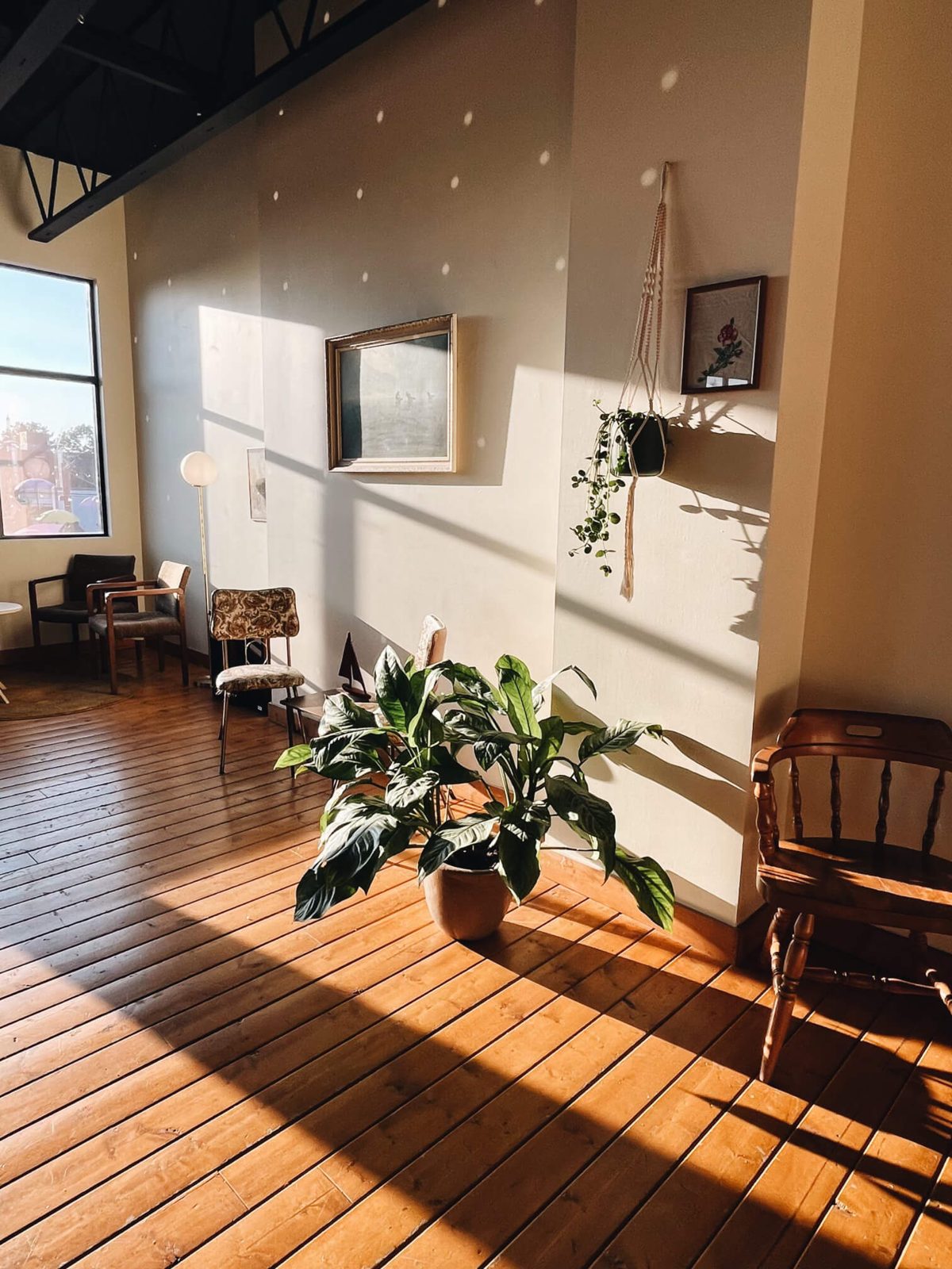 Oldhand Coffee's sunny upstairs room in downtown Langley: wood floor, a potted plant, framed art and wooden chairs along the walls