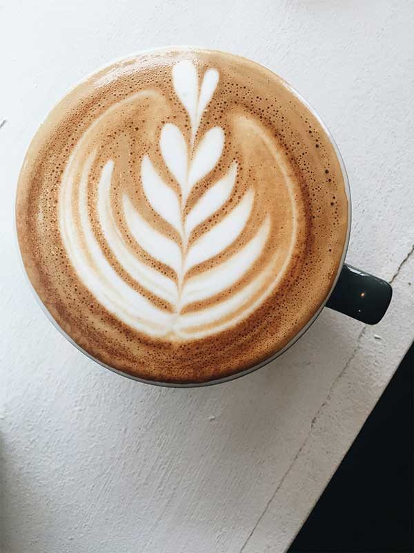 A cappuccino with fern latte art in a dark cup, seen from above