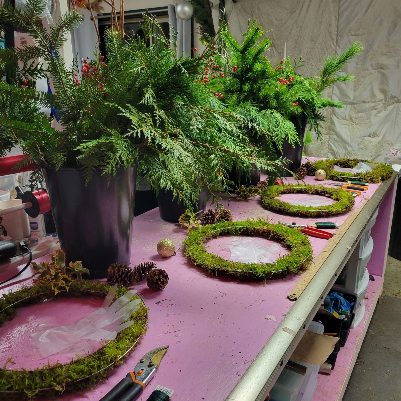 A pink workbench set up for a wreath workshop: round moss wreath frames, pine cones, pruners and wire, with buckets of cedar and fir boughs and red berries behind