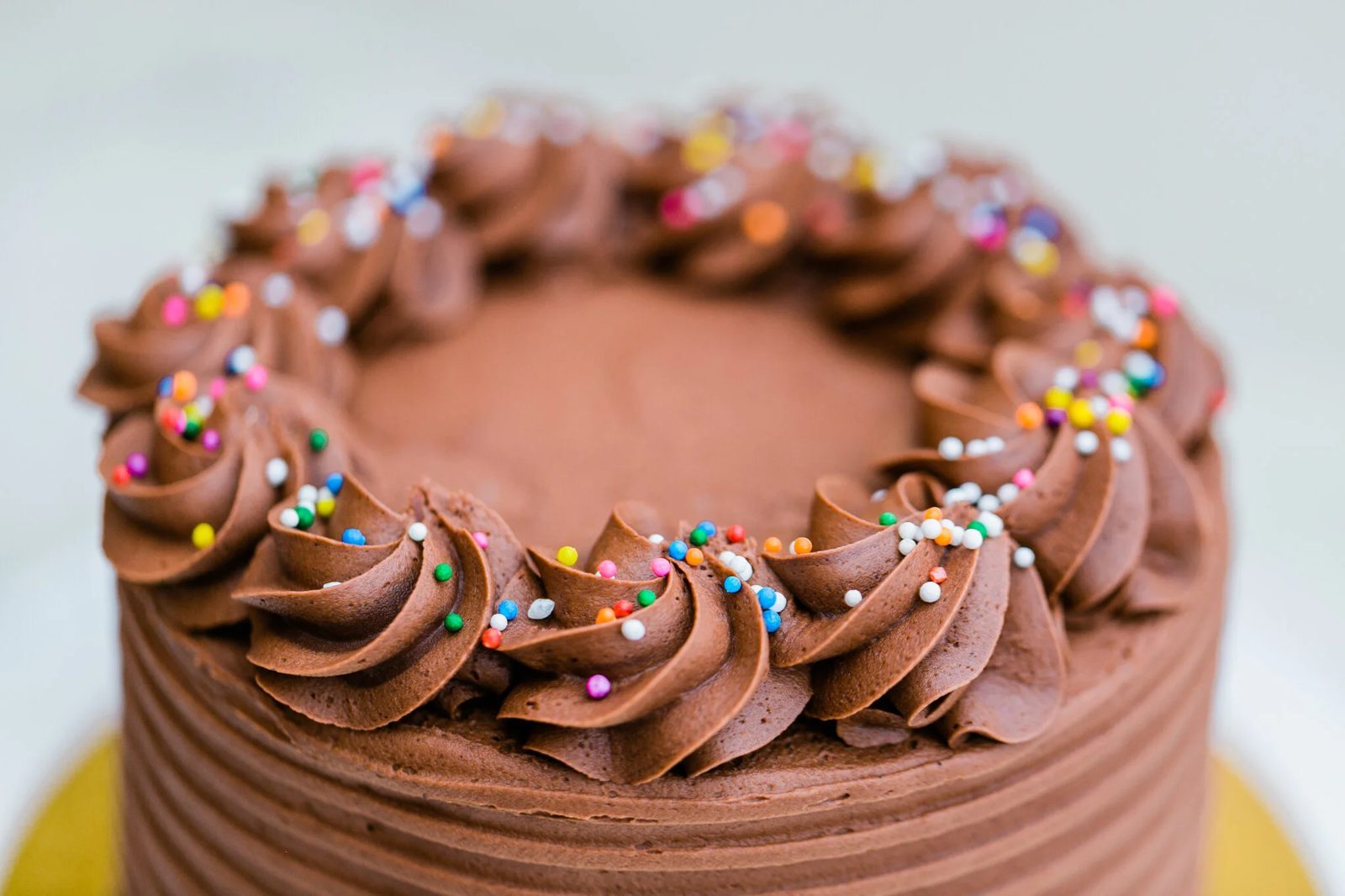 A round chocolate cake with piped chocolate rosettes and rainbow sprinkles from Tracycakes