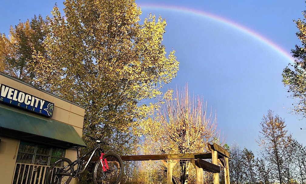 The Velocity Cycles storefront in Walnut Grove under autumn trees, with a rainbow in the sky
