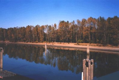 Still water of Bedford Channel at Brae Island Regional Park, with old pilings and autumn trees reflected on the far bank