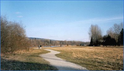 A gravel path through open grass at Derby Reach Regional Park