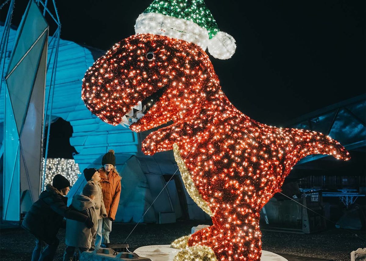 Children looking up at a giant dinosaur made of red and white lights wearing a green Santa hat, with a blue-lit dome behind it, at Glow Langley at night