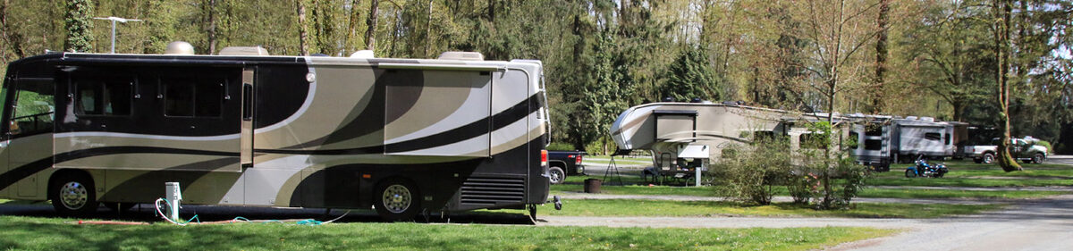 A motorhome and several travel trailers parked on gravel pads among tall trees and grass at Fort Camping