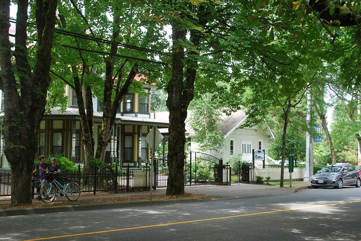 Big horse chestnut trees shading Glover Road in Fort Langley, with a Victorian house and an iron fence on the left