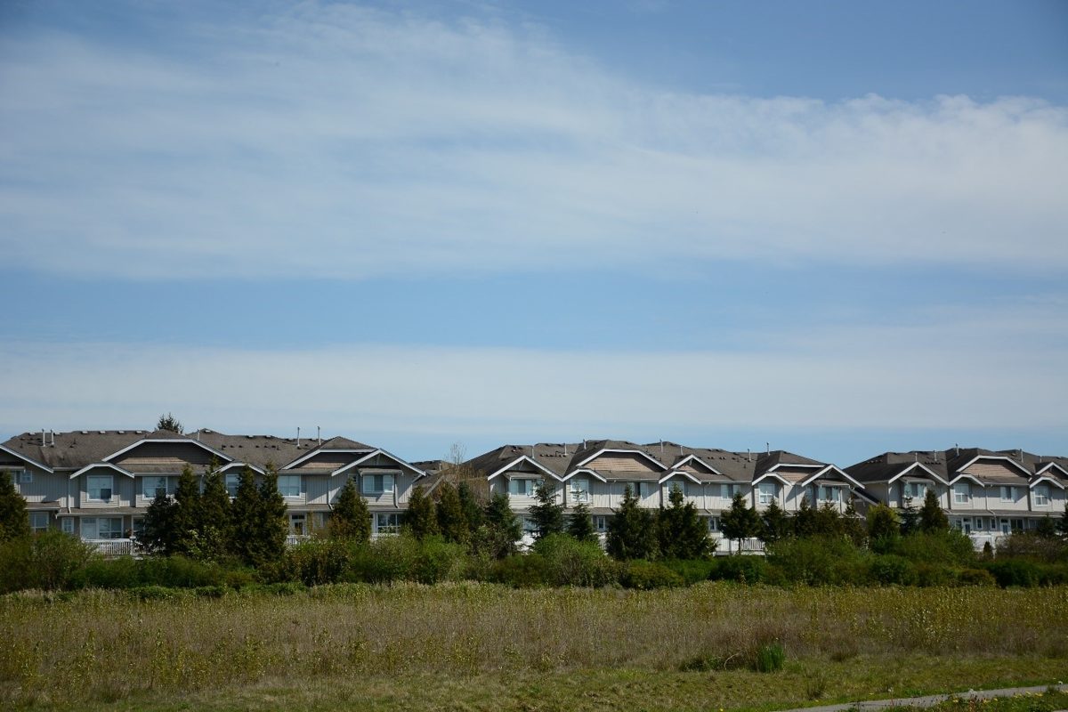 A row of townhouses behind a field of tall grass on the edge of Langley farmland