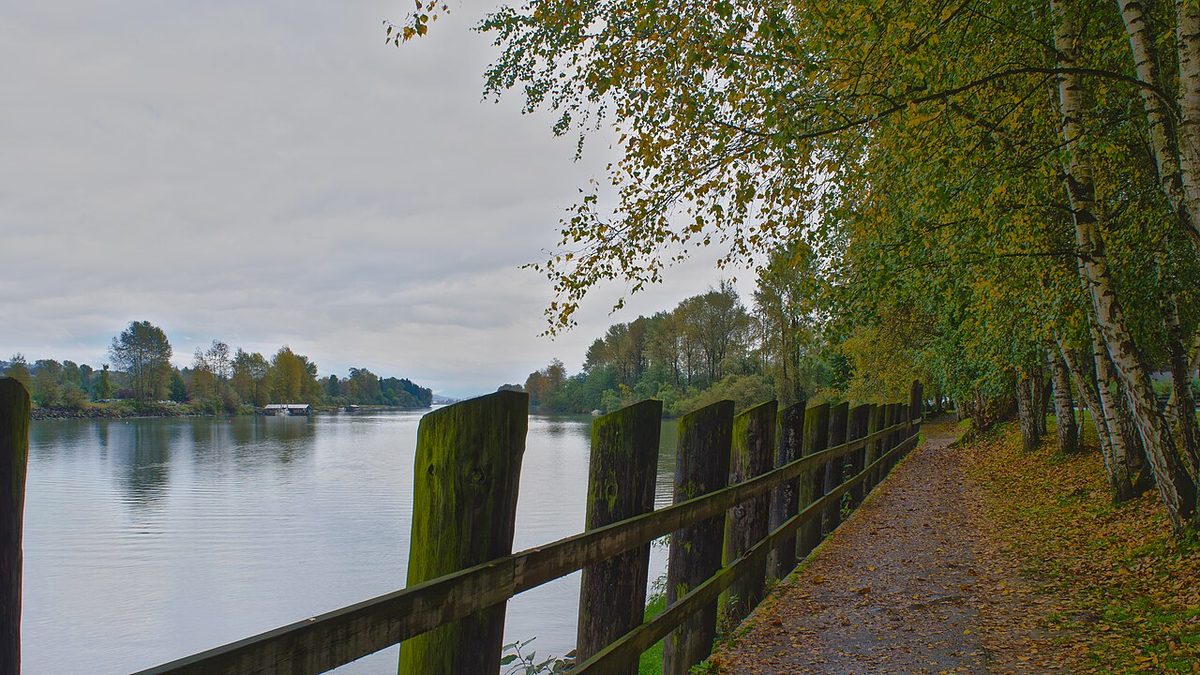 A gravel path beside a wooden post fence along Bedford Channel in autumn, with birch trees on one side and the water on the other