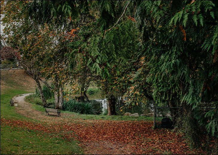 Conder Park in Langley City with an open grass field, a ball diamond backstop and trees