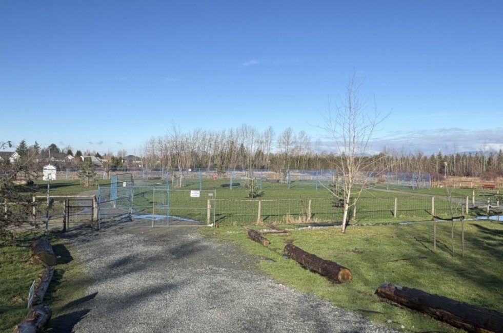 A gravel path leading to fenced grass and a blue construction fence at the Old Yale dog park site on a sunny day