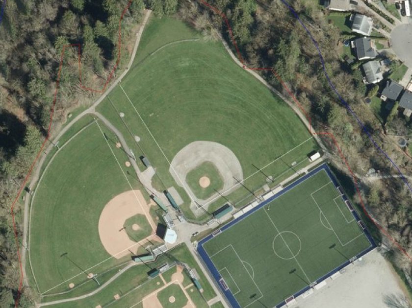 Aerial view of Walnut Grove Community Park showing two baseball diamonds, a turf soccer field, trees and nearby houses