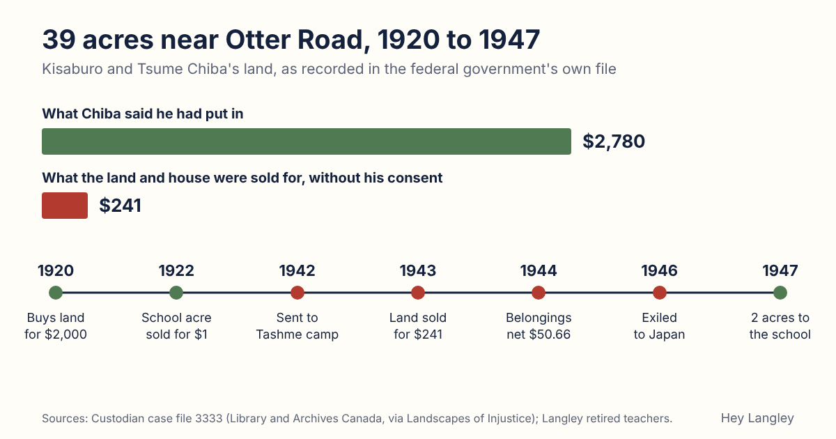 A Hey Langley chart: Kisaburo Chiba said he had put $2,780 into his 39 acres near Otter Road; the government sold it for $241. A timeline runs from buying the land in 1920 to the couple's exile to Japan in 1946.