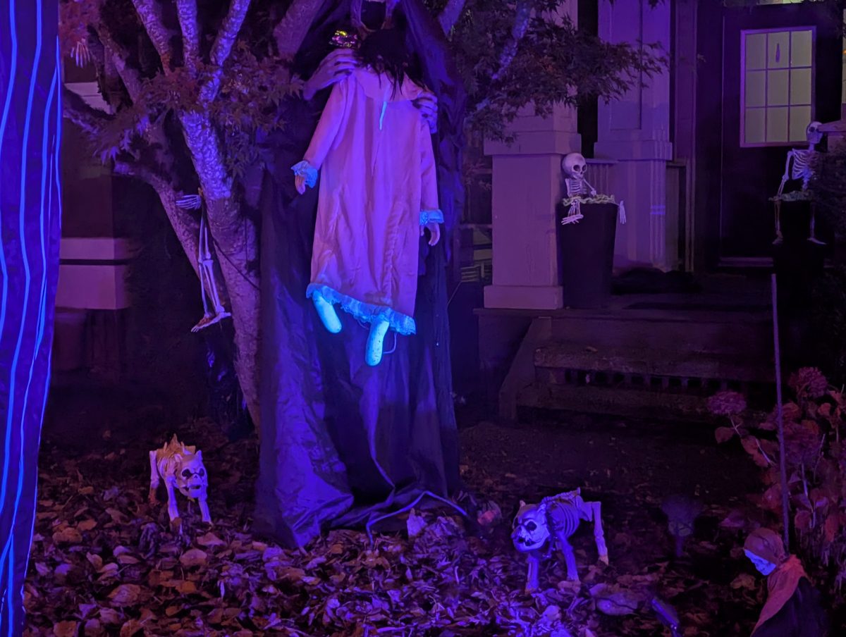 A ghost bride in the tree and skeleton dogs in the leaves