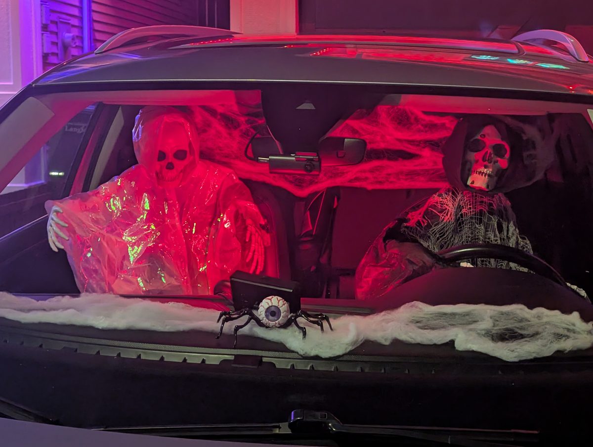 Two skeletons belted in for a road trip